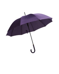 Elegant Purple Umbrella Isolated on White Background