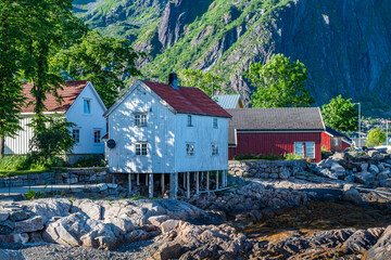 Fototapete bei efototapeten.de bestellen   