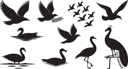 Obraz premium Feathered Friends A Black and White Vector Illustration of Birds and Swans on Clear