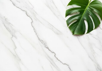 A Green Monstera Leaf on a White Marble Surface