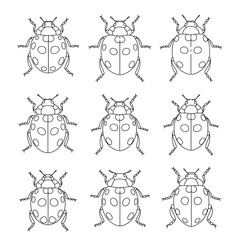 Fototapeta premium A collection of nine ladybug line art illustrations. Simple monochrome concept design of insects in a grid pattern for coloring.