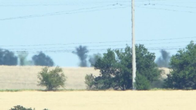 High-voltage tower amidst scorching summer landscape with golden fields and distant trees. Noticeable mirage over fields and shimmering air indicate intense heat, climate change, and global warming 