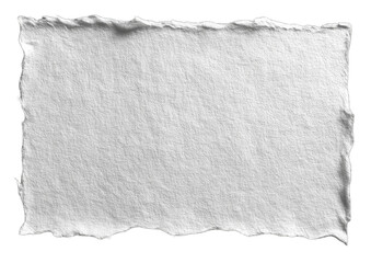 A ripped sheet of off-white paper, uneven edges