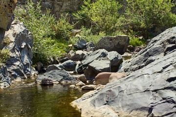 Rock face with moss and lichens by the water’s edge of a mountain stream in Boshkizilsay, Uzbekistan. Sunny summer day, view of the natural shore and water reflection