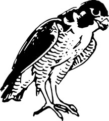 abstract design of American wild west desert with cowboys - hand drawn Black illustration. Ilustraciones del viejo oeste. PNG.JPG. VEKTOR