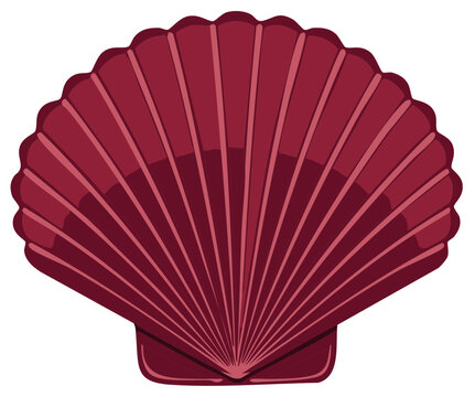 Detailed vector graphic of a scalloped seashell with textured linear designs in maroon tones