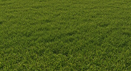 A closeup shallow depthoffield view of lush green grass