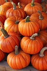 Close-up view of many small pumpkins