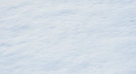 Obraz premium Surface of untouched light bluetinted snow with gentle ripples