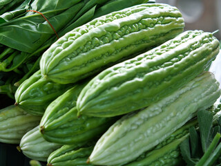 A close-up of fresh green bitter melons, also known as bitter gourds, piled up at a market stall. The image highlights the unique, bumpy texture of the vegetable, a popular ingredient in Asian cuisine