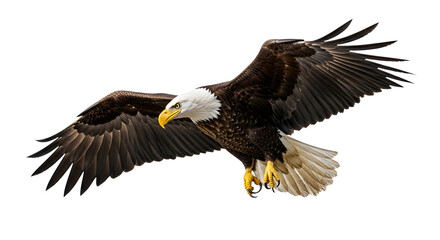 Obraz premium Majestic Bald Eagle in Flight Wings Spread Wide Soaring High Above White Background Perfect for Nature Wildlife Photography Prints Posters and More
