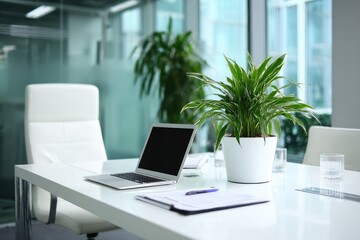 Modern office meeting room with laptop and plants