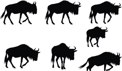 Cad drawing flat vector illustration, wildebeest animal silhouette, wildlife vector art, nature stock image, grazing walking standing poses, Adobe Stock