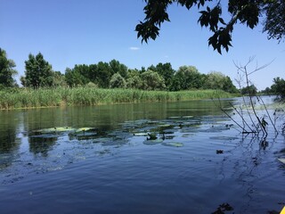 River with water lilies and reeds under blue summer sky