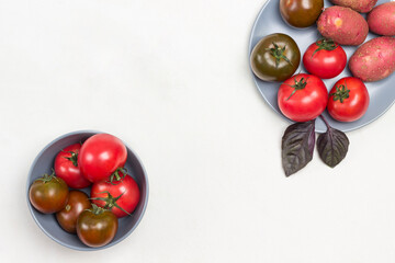 Fresh tomatoes in gray bowl and on plate. Sprigs of blue basil