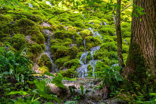 Wasser Kaskade &uuml;ber Moos