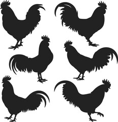 Rooster silhouette, farm animal, poultry vector, black and white illustration, graphic design, animal shape, CAD drawing flat vector illustration