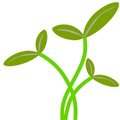 Micro Plants