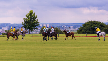 Polo match