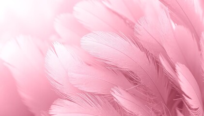 Fototapeta premium A vibrant close-up of soft pink feathers, showcasing intricate textures and delicate details, perfect for stylish wallpapers or backgrounds.