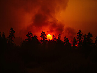 Fototapeta premium Apocalyptic Sunset