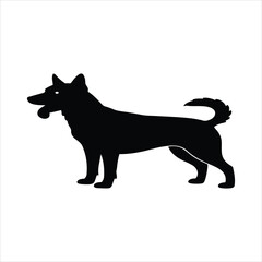 Alert german shepherd dog standing profile silhouette