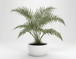Fototapeta premium Plant Beautiful color Vecor, Natural Plant with white backgrund
