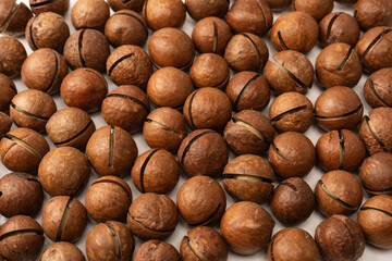 Macadamia nuts in a shell isolated on a white background.