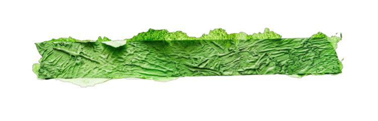 Close-up of a bright-green leaf, possibly lettuce, with textured ridges and a defined edge