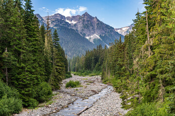 Mt. Ranier National Park
