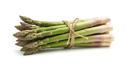 Fresh Asparagus Bundle Tied with Twine on White