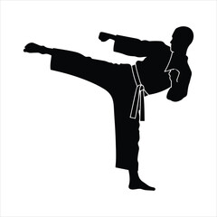 Martial arts fighter performing a powerful side kick in a dynamic silhouette