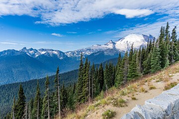 Mt. Ranier National Park