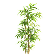 Fototapeta premium Bamboo plant standing tall in a bright indoor space showcasing its lush green leaves and elegant structure
