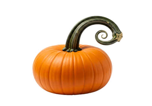 Single orange pumpkin with curly stem isolated on transparent background