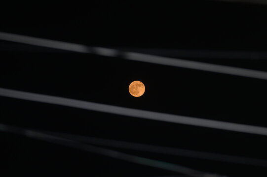 August's full moon, or Sturgeon Moon, is also referred to as the Green Corn, Grain, Flying up moon and Red Moon. In the city seen through the unkempt grass-flowers and electrical wire after sunset.
