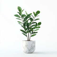 Elegant indoor plant in a marble pot.