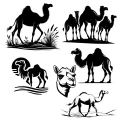 A collection of black and white silhouettes of camels in various poses