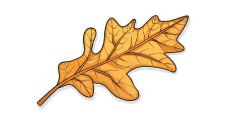 Autumnal oak leaf illustration