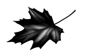 Black Maple Leaf on Transparent Background