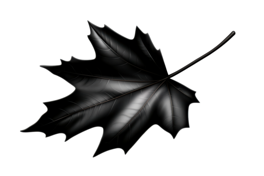 Black Maple Leaf on Transparent Background - Powered by Adobe