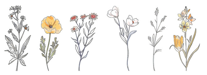 Obraz premium Delicate floral arrangement, featuring stylized blossoms and foliage in muted tones