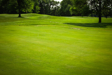 golfing background with subtle undulations leading up to a forest of trees with space for copy. hobbies and leisure design element on a beautiful sunny day.