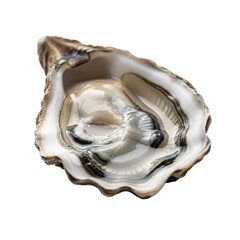 Naklejka premium A single fresh raw oyster on the half shell, shimmering with juices, isolated on a white background.
