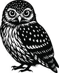 A wise cartoon owl with big eyes and brown feathers perches on a branch, a cute wildlife animal illustration on a white background
