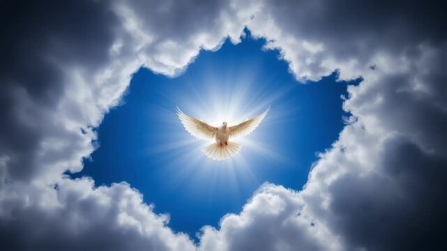 A white dove flying with wings spread in a blue sky with sunbeams emerging from a frame of clouds, a spiritual concept representing peace, freedom, hope, and the holy spirit