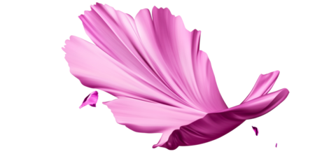 Vibrant Pink Paint Swirl Isolated on White