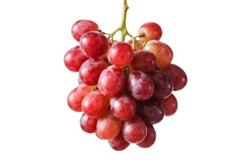Fototapeta premium red grapes isolated on white background