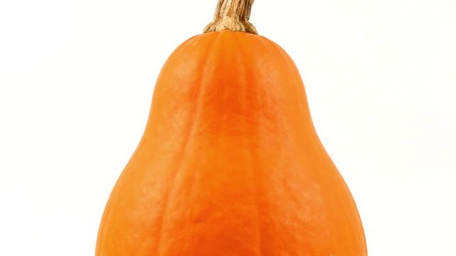 Orange squash with a thick stem against a white background