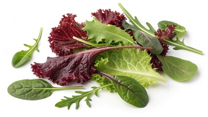  A pile of fresh mixed salad greens on a white background.